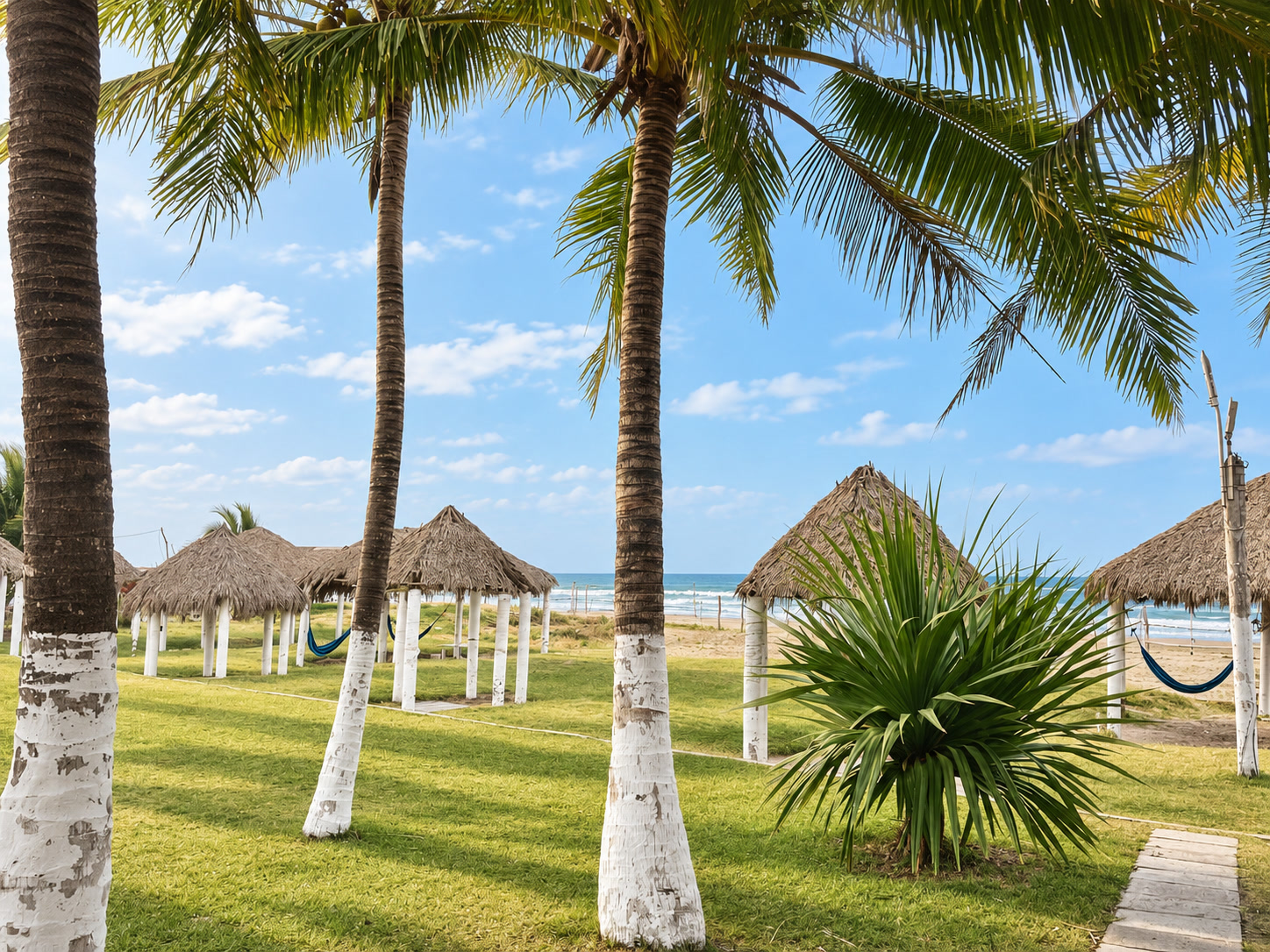 Palapas, hamacas y jardín frente al mar en Hotel Dunas Chachalacas